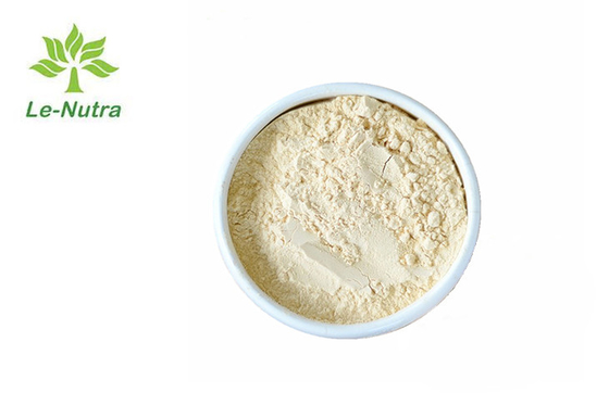 CAS 222400-29-5 Protein Nutrition Powder 85% Pea Water Absorption