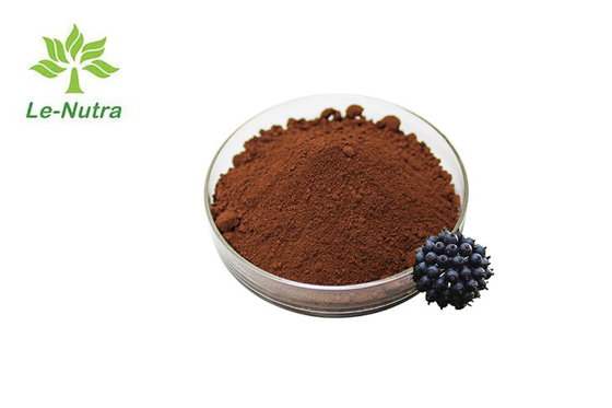Pharmaceutical Grade Herbal Extract Powder Siberian Ginseng Eleuthero Root Extract