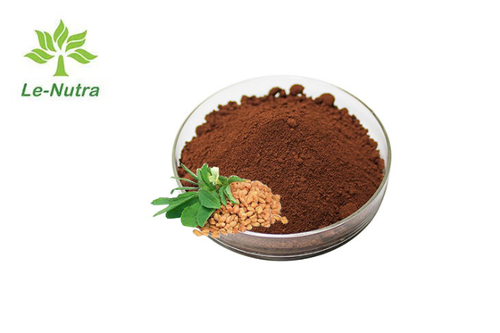 Food Grade Herbal Extract Powder Fenugreek Seed Extract For Antioxidants