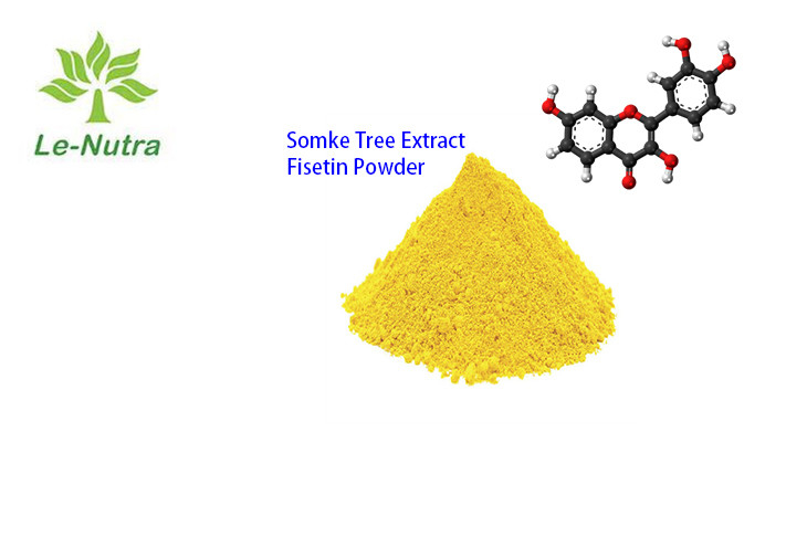 Smoke Tree Extract Fisetin Powder 96% CAS 528-48-3 Fustel