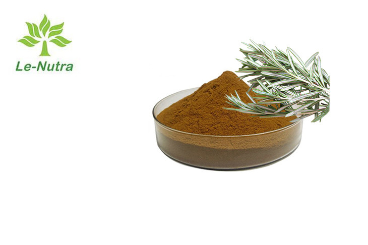 Herbal Rosemary Leaf Extract Powder Antioxidant For Skin