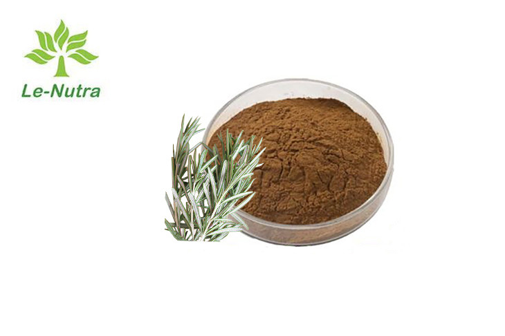 Natural Antioxidant Rosmarinus Officinalis Leaf Extract Powder