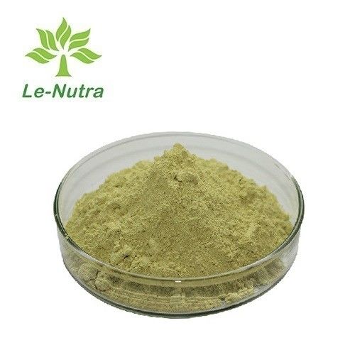 High Grade Pure Natural Private label Immunity Supplement Echinacea purpurea extract Echinacea Polyphenols for capsules