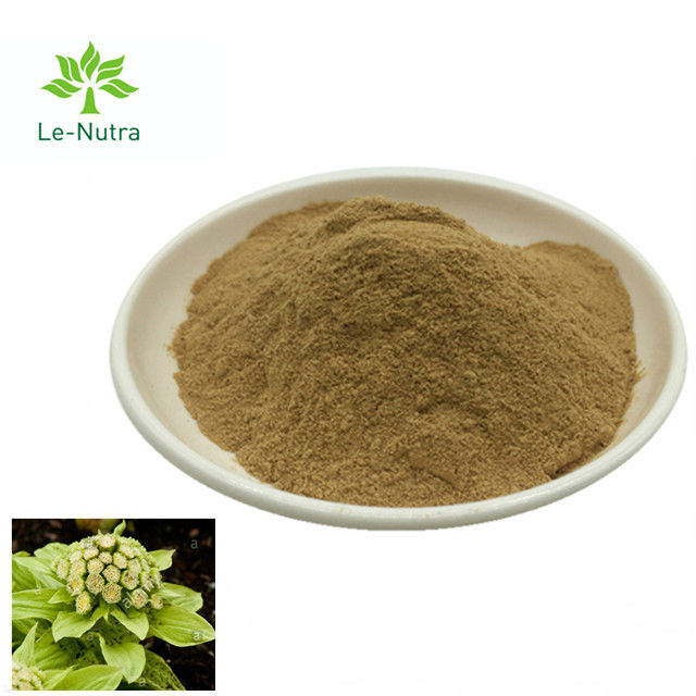 High Quality Herbal Extract Butterbur Leaf Extract Powder/Petasites Japonicus Extract Petasin 15%
