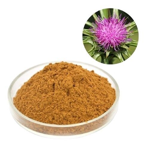 Le-Nutra Supply milk thistle 80% Silybum Marianum Extract Powder milk thistle seed extract powder
