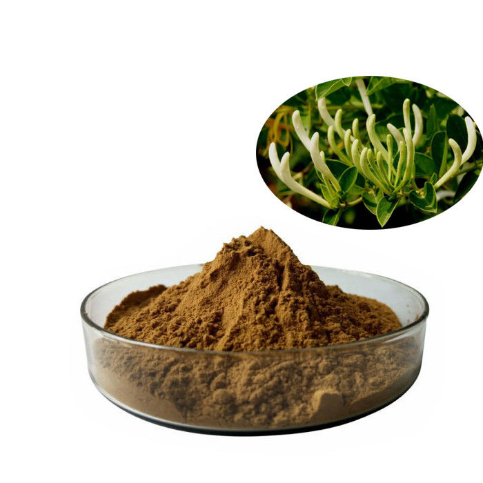 Hot sale Wild  Honeysuckle Flower Extract/honeysuckle extract with Chlorogenic Acid