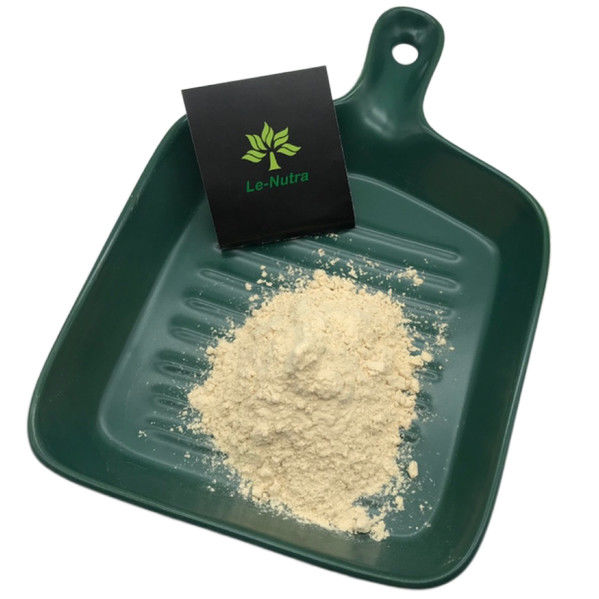 Herbal Extract Powder All natural Celery Extract Apigenin Powder