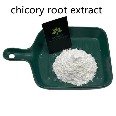 90% Chicory Root Extract Inulin Synanthrin CAS 9005-80-5