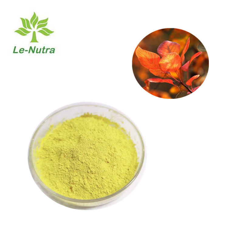 Le Nutra Natural Fisetin Powder