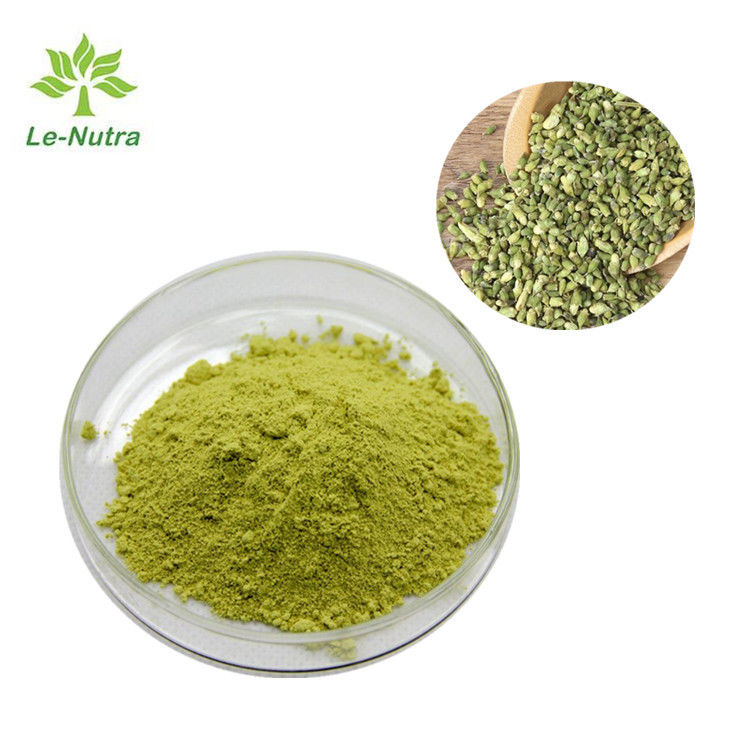 C15H10O7 Quercetin Herbal Extract Powder Sophorae Japonicae Flos Extract
