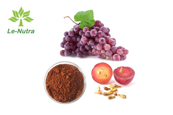 95% Dietary Supplement Powder Grape Seed Extract polyphenols proanthocyanidins